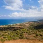 Field – Neo Chorio, Paphos — Paphos (11)