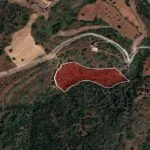 Field – Neo Chorio, Paphos — Paphos (12)