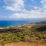 Field – Neo Chorio, Paphos — Paphos (4)