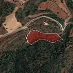 Field – Neo Chorio, Paphos — Paphos (5)