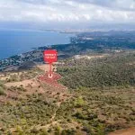 Field – Neo Chorio, Paphos — Paphos