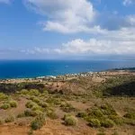 Field – Neo Chorio, Paphos — Paphos (2)