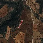 Field – Neo Chorio, Paphos — Paphos, Neo Chorio (3)
