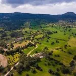 Field (Share) – Neo Chorio, Paphos — Paphos, Neo Chorio (4)
