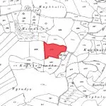 Field (Share) – Neo Chorio, Paphos — Paphos, Neo Chorio (8)