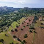 Field (Share) – Neo Chorio, Paphos — Paphos, Neo Chorio (2)