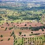 Field (Share) – Neo Chorio, Paphos — Paphos, Neo Chorio (4)