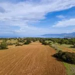 Field (Share) – Neo Chorio, Paphos — Paphos, Neo Chorio (7)