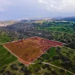 Field (Share) – Neo Chorio, Paphos — Paphos, Neo Chorio (2)