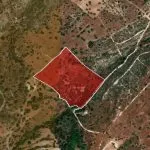 Field (Share) – Neo Chorio, Paphos — Paphos, Neo Chorio (6)
