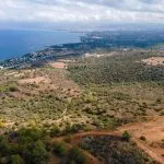 Field (Share) – Neo Chorio, Paphos — Paphos, Neo Chorio (2)