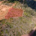 Field (Share) – Neo Chorio, Paphos — Paphos, Neo Chorio (3)