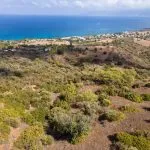 Field (Share) – Neo Chorio, Paphos — Paphos, Neo Chorio (6)