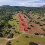 Field (Share) – Neo Chorio, Paphos — Paphos, Neo Chorio (2)
