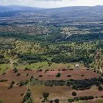 Field (Share) – Neo Chorio, Paphos — Paphos, Neo Chorio (3)