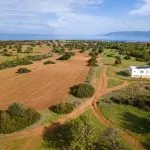 Field (Share) – Neo Chorio, Paphos — Paphos, Neo Chorio (4)