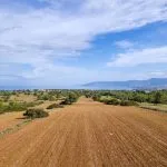 Field (Share) – Neo Chorio, Paphos — Paphos, Neo Chorio (6)