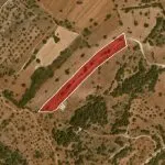 Field (Share) – Neo Chorio, Paphos — Paphos, Neo Chorio (8)