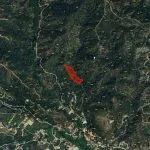Residential Field with Pine Trees in Pera Pedi, Limassol — Limassol, Pera Pedi