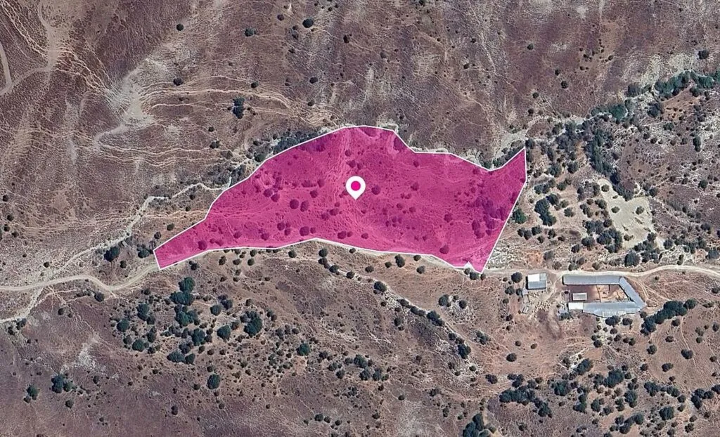 Agricultural Field in Kelokedara, Paphos – photo 3