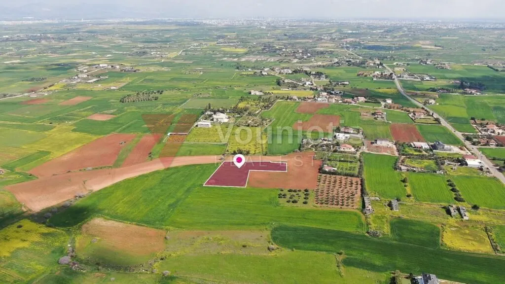 Residential field in Agioi Trimithias, Nicosia – photo 3