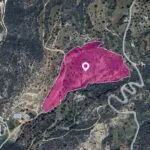 (Share) Field, Agios Isidoros, Paphos — Paphos, Agios Isidoros (2)