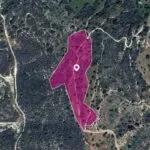 (Share) Agricultural Field in Agios Isidoros, Paphos — Paphos, Agios Isidoros