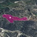 (Share) Agricultural Field in Agios Isidoros, Paphos — Paphos, Agios Isidoros (2)