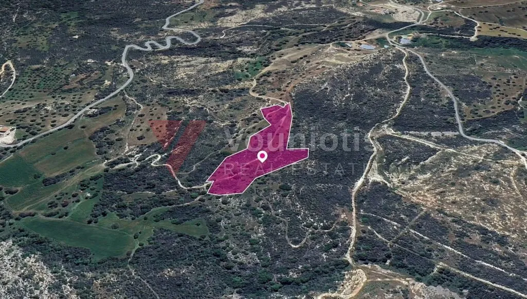 (שתף) שדה חקלאי באגיוס איזידורוס, פאפוס – תמונה 3