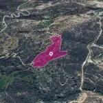 (Share) Agricultural Field in Agios Isidoros, Paphos — Paphos, Agios Isidoros (3)