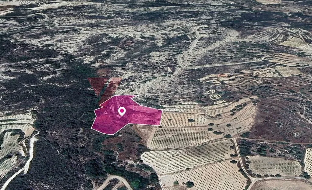 Residential field in Agios Mamas, Limassol – photo 2