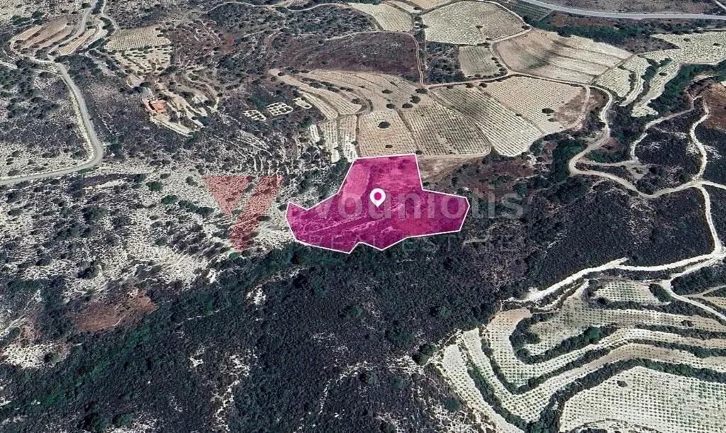 Residential field in Agios Mamas, Limassol – photo 3