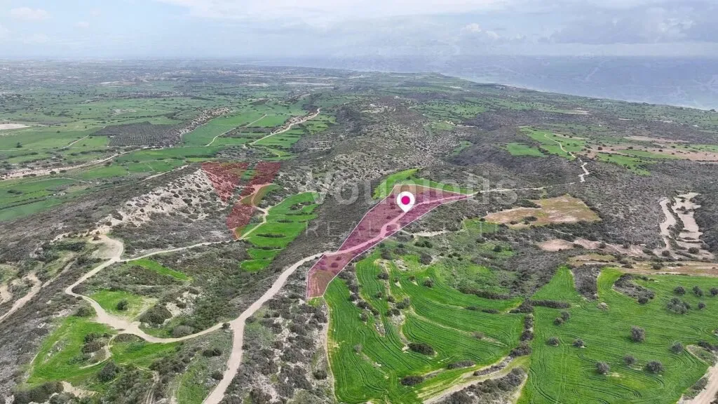 Agricultural field in Agios Theodoros, Larnaca – photo 2