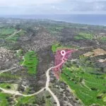 Agricultural field in Agios Theodoros, Larnaca — Larnaca, Agios Theodoros (3)