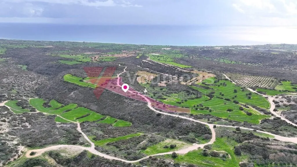 Agricultural field in Agios Theodoros, Larnaca – photo 4