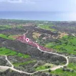 Agricultural field in Agios Theodoros, Larnaca — Larnaca, Agios Theodoros (4)