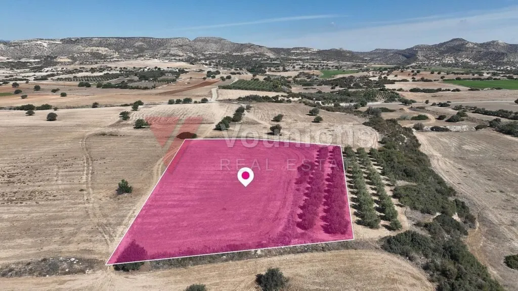 Sea View Touristic field in Agios Theodoros, Larnaca – photo 4