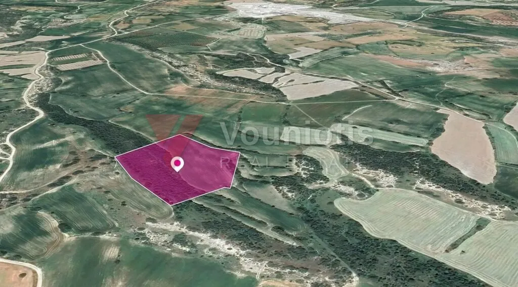 Agricultural Field in Agios Theodoros, Larnaca – photo 2