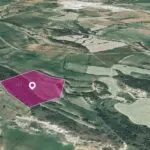 Agricultural Field in Agios Theodoros, Larnaca — Larnaca, Agios Theodoros (2)