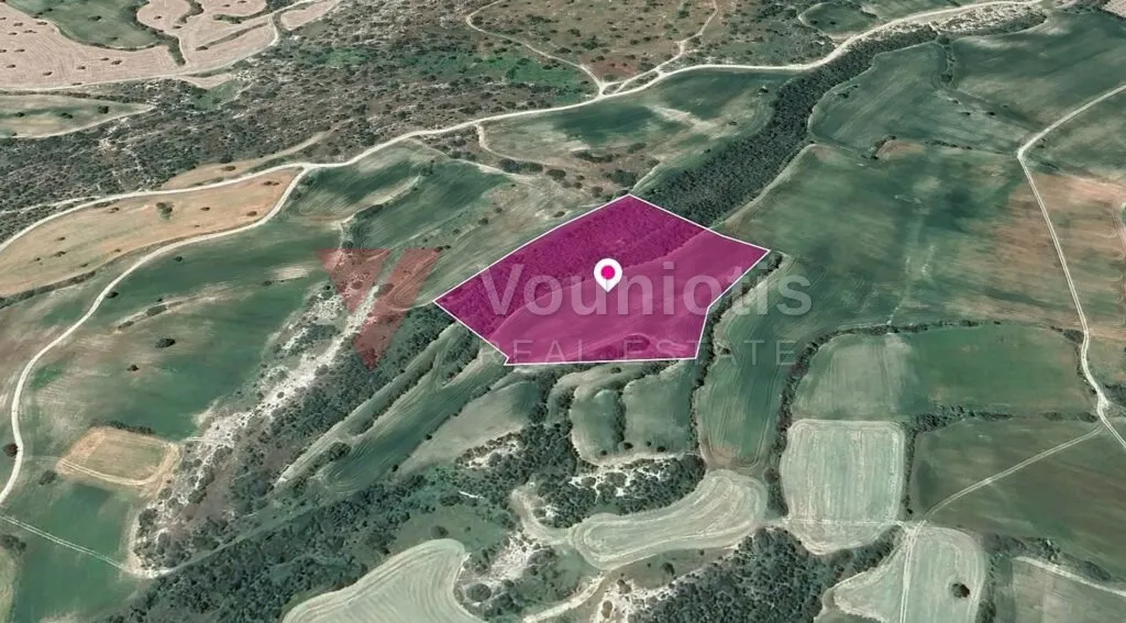 Agricultural Field in Agios Theodoros, Larnaca – photo 3