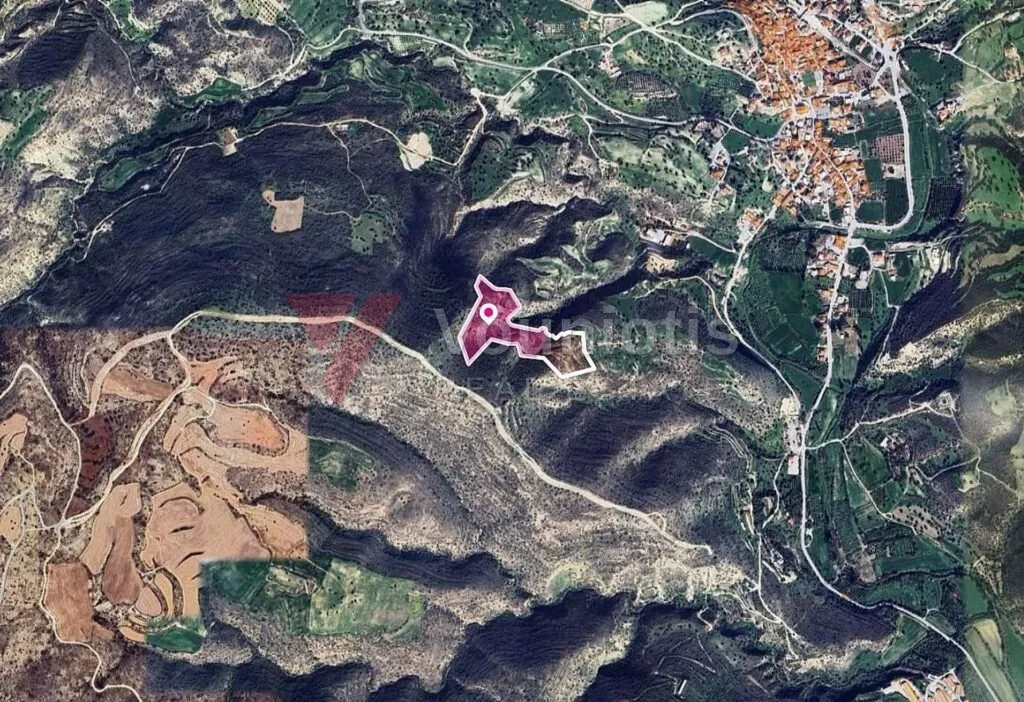 (Share) Agricultural Field in Agios Theodoros, Larnaca – photo 3