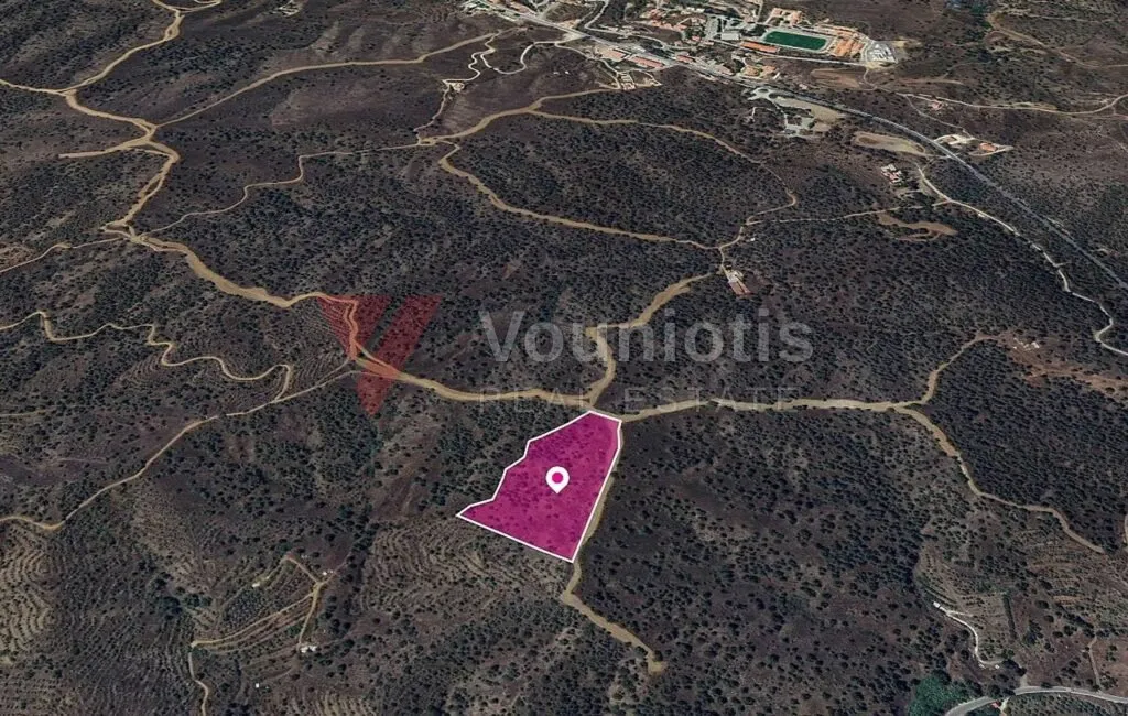 (Share) Agricultural field in Agios Theodoros Soleas, Nicosia – photo 2