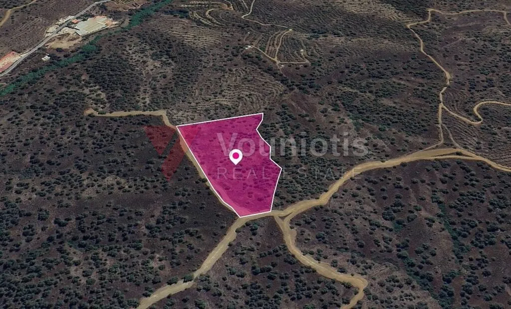 (Share) Agricultural field in Agios Theodoros Soleas, Nicosia – photo 3