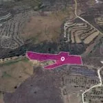 Agricultural Field in Agrokipia, Nicosia — Nicosia, Agrokipia (2)