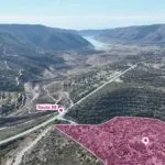 Special Protection Large – Field in Alassa, Limassol — Limassol, Alassa (2)