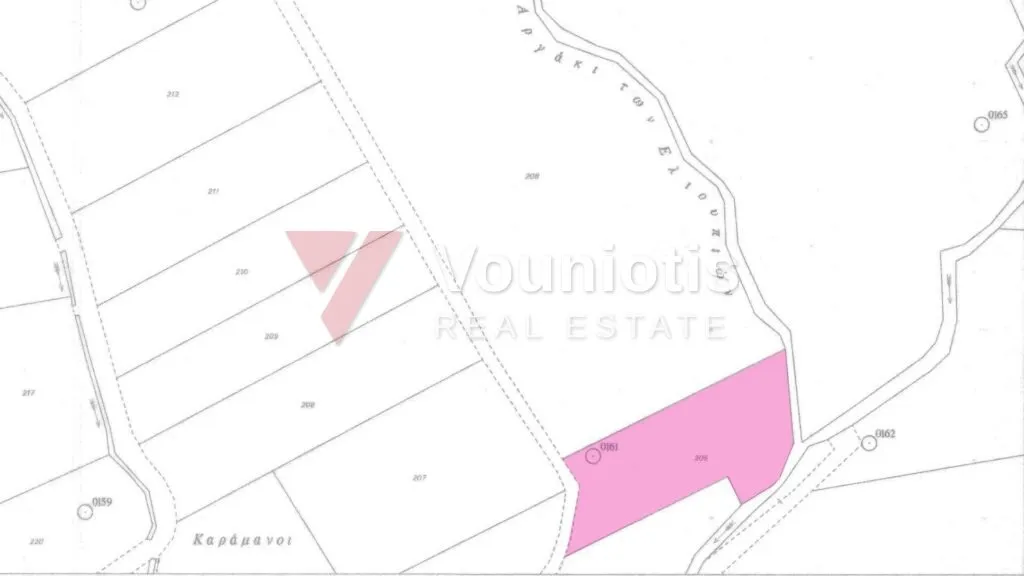 Agricultural Field in Anarita, Paphos – photo 6