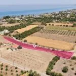 Field in Argaka, Paphos — Paphos, Argaka