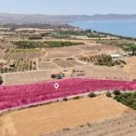 Field in Argaka, Paphos — Paphos, Argaka (2)