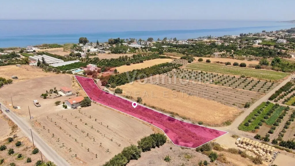 Field in Argaka, Paphos – photo 4