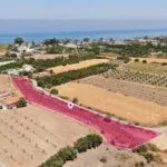 Field in Argaka, Paphos — Paphos, Argaka (4)